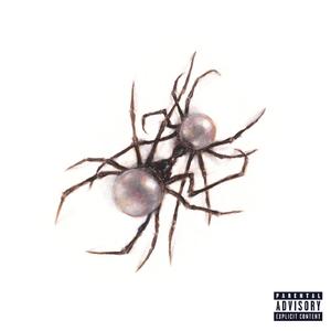 大黑狗配猪的视频
