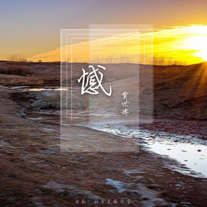 大黑狗配猪的视频
